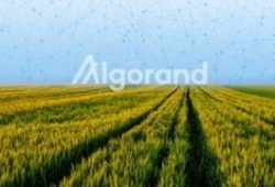 Melihat Mata uang Kripto Algorand (ALGO) yang lagi viral