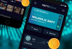 Review , NFTPedia MarketPlace lokal Jaringan BSC