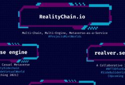 Mengenal Konsep RealityChain Platform web3 Sosial Metaverse