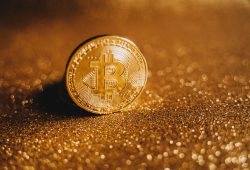 Pria Ini Nikahi Kekasihnya Dengan Mahar Crypto!