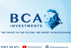 Review, BCA Investment: Venture Capital dan Incubator Project Blockchain
