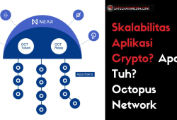 Mengenal Octopus Network Proyek WEB 3.0 Skalabilitas DAPP