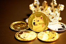 Shiba Menuduh CoinMarketCap Karena Mencantumkan (3 address palsu)