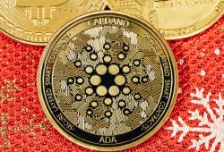 Cardano Terus dapatkan Ribuan Pengguna Baru tiap Hari Selama Februari