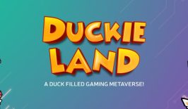 Memahami Crypto Duckie Land (MMETA) Yang Hasilkan Cuan!
