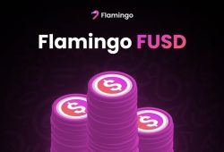 DeFI Flamingo, Proyek Kripto Berkonsep DAO Dan lintas batas!