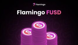 DeFI Flamingo, Proyek Kripto Berkonsep DAO Dan lintas batas!