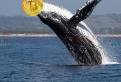 Gelombang tsunami Bitcoin! Para Whales Melepaskan Banyak Koin Mereka!