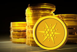 Cardano University Day : Peluang Strategis bagi IOG di Asia Tenggara