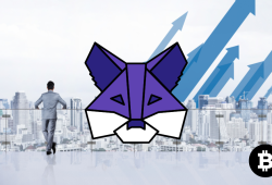 MetaMask Resmi Terhubung dengan Solana Babak Baru Dunia Kripto Dimulai