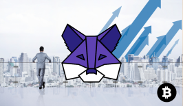 MetaMask Resmi Terhubung dengan Solana Babak Baru Dunia Kripto Dimulai