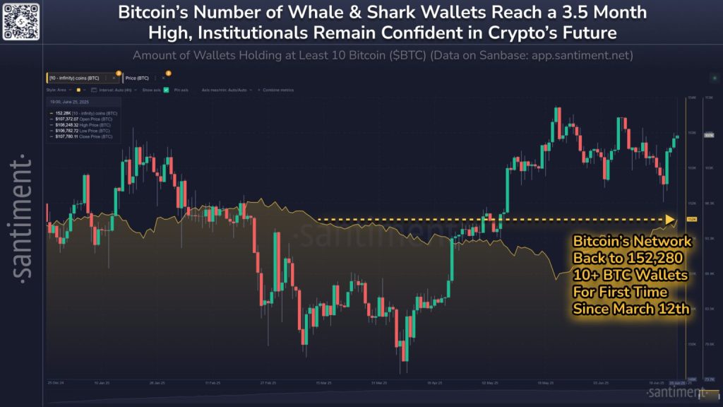 Bitcoin Whale