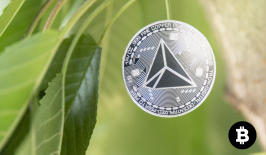 TRON (TRX) Mulai Dipandang Sebagai, Safe Haven ? Baru di Tengah Gejolak Kripto