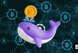 Whale Ramai-Ramai Borong 4 Altcoin Kripto Ini, Kamu Sudah Ikut Masuk?