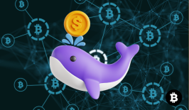 Whale Ramai-Ramai Borong 4 Altcoin Kripto Ini, Kamu Sudah Ikut Masuk?