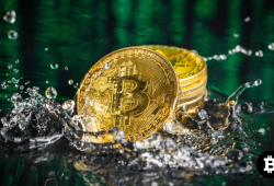 Sinyal Bullish Bitcoin Muncul? Simak Manuver Rahasia Para Whale