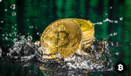 Sinyal Bullish Bitcoin Muncul? Simak Manuver Rahasia Para Whale