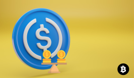 Regulasi Mengetat, Ke Mana Arah Stablecoin Selanjutnya?