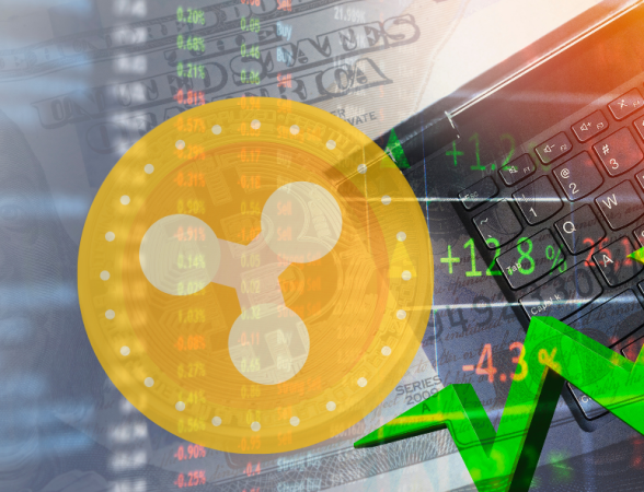 Apa Itu DeXRP ? Dunia Baru di XRP Ledger