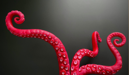 Kraken dan Circle Perkuat Ekosistem Stablecoin Lewat Kemitraan Baru