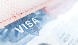 Visa Andalkan Stablecoin, Strategi Baru untuk Mempercepat Transfer Global
