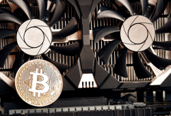 Terkuak Lagi! Benarkah Satoshi Nakamoto Adalah Daira Hopwood? Bukti-Bukti Ini Sulit Disangkal!